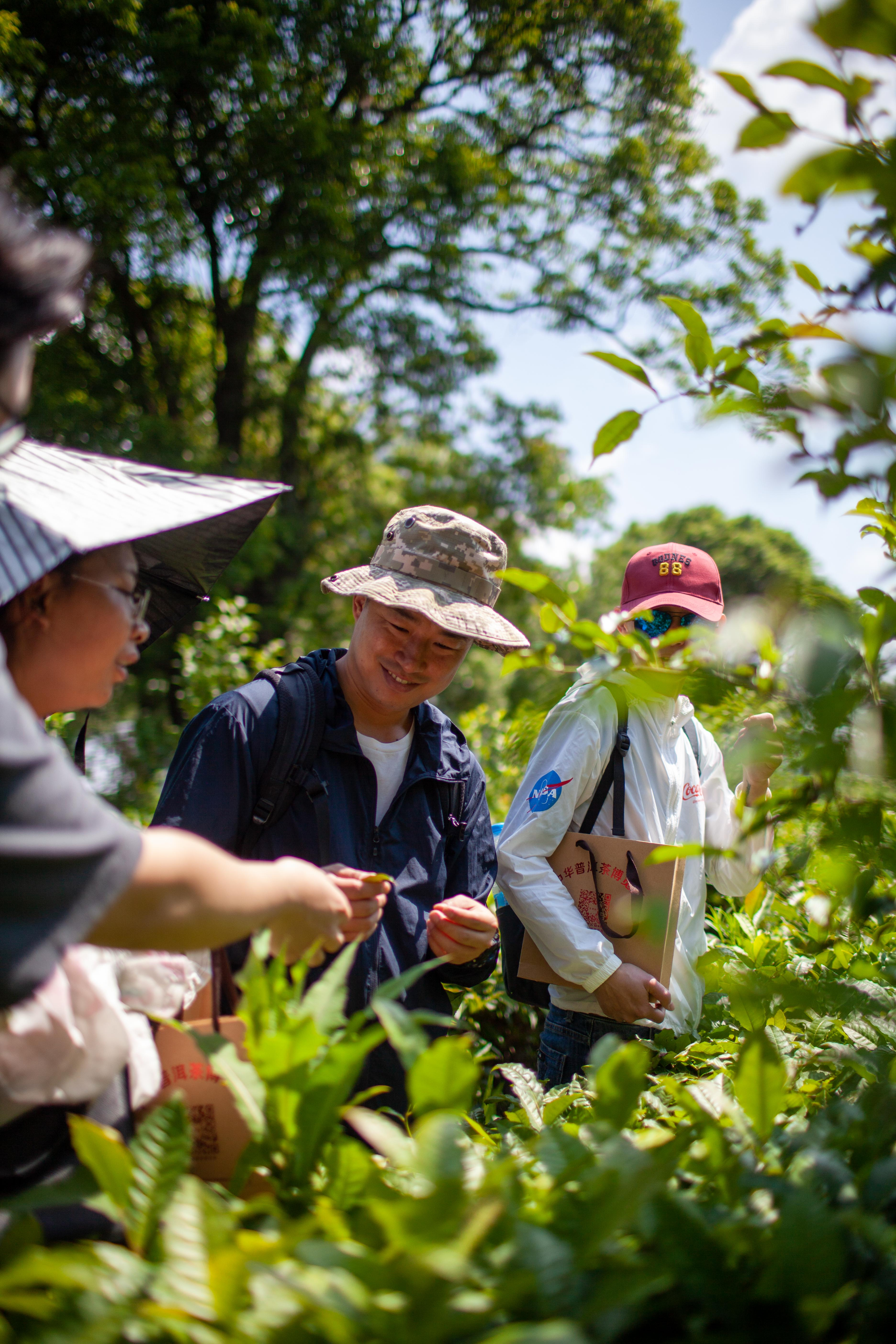 Coffee buyers inspecting a farm